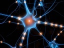 quantum-consciousness