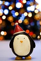 holiday-spirit