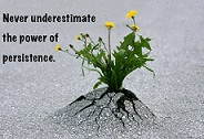 power-of-persistence