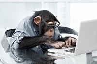 Highly_Productive_Entrepreneurs_Shopify_Online_Shopping_Cart_Software_Blog