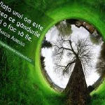5 Convingeri false ce te tin pe loc