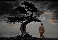 images (1)