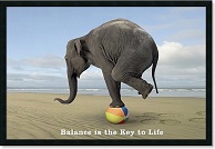 successful_balanced_and_healthy_lifestyle_program1